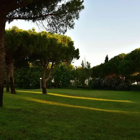 Port-vincent La Grande-Motte